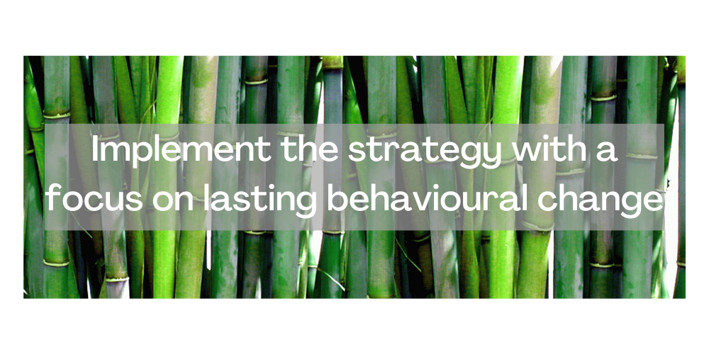 3. Implement the strategy with a focus on lasting change. 